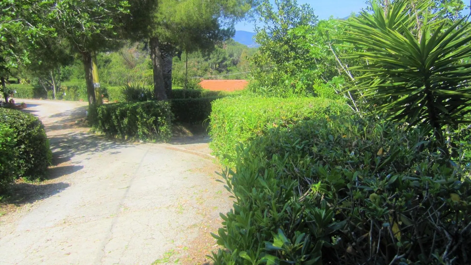Wohnung In Capoliveri Mit Schoenem Garten