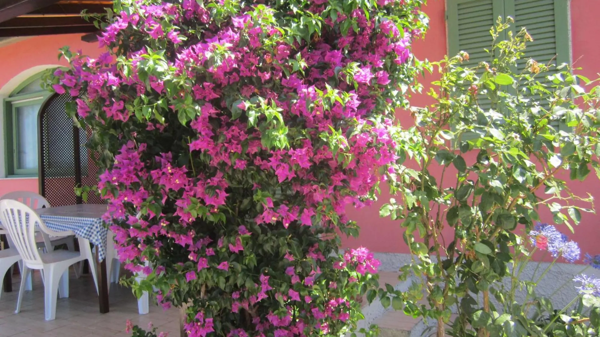 Wohnung In Capoliveri Mit Schoenem Garten